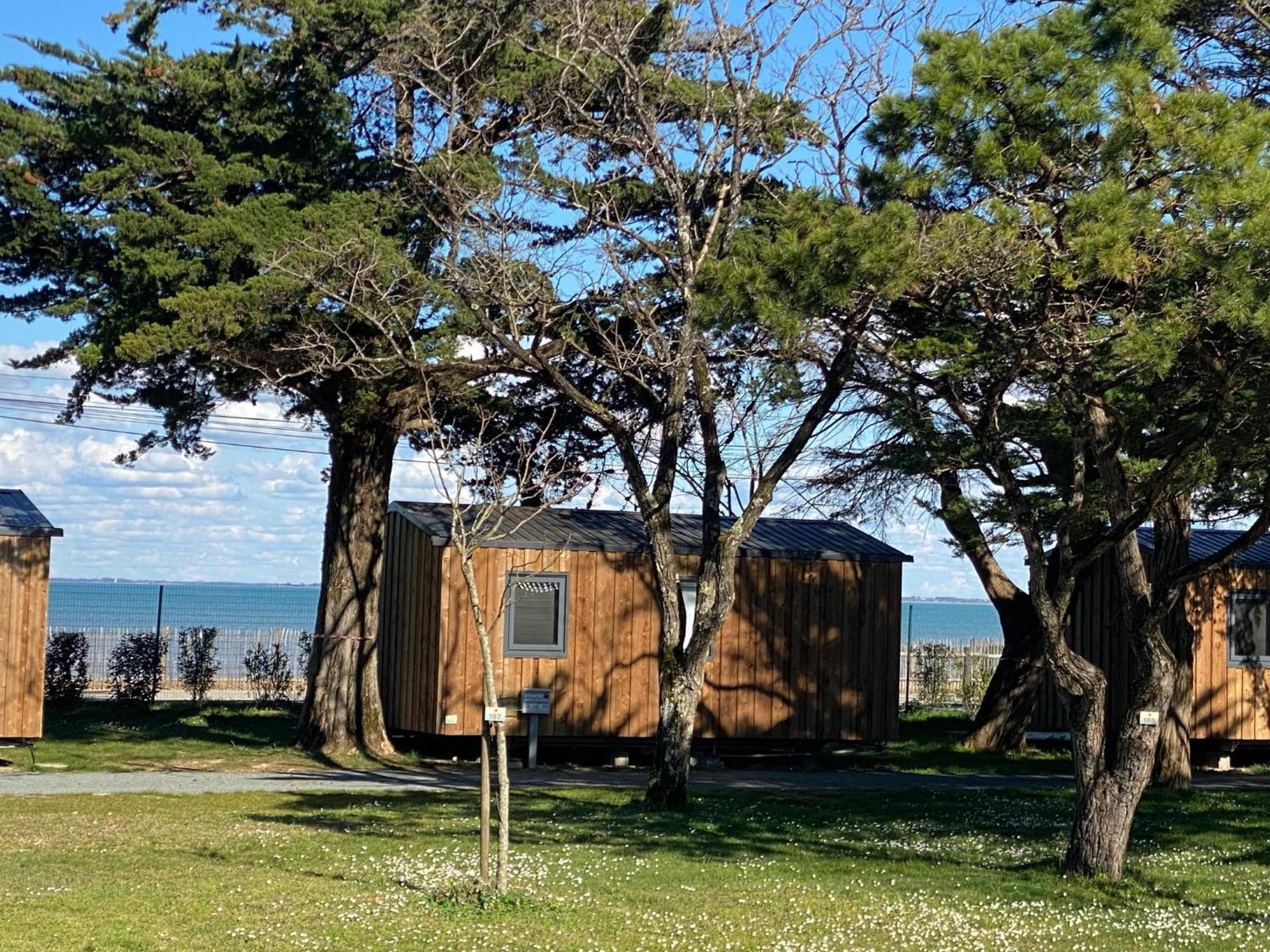 Camping Ostrea **** Dolus d'Oléron エクステリア 写真